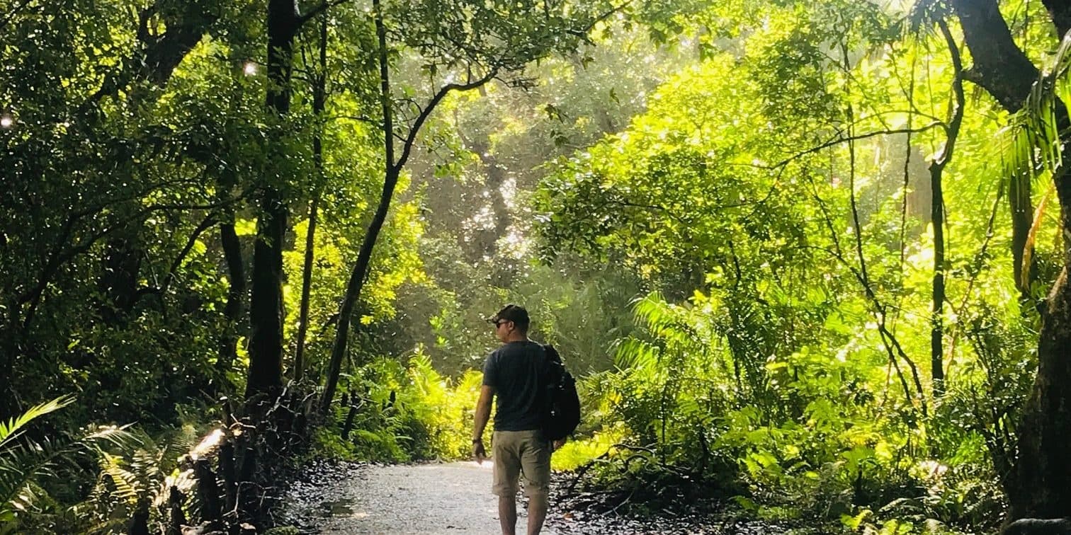 A traveler walking through the rainforest near Victoria Falls
